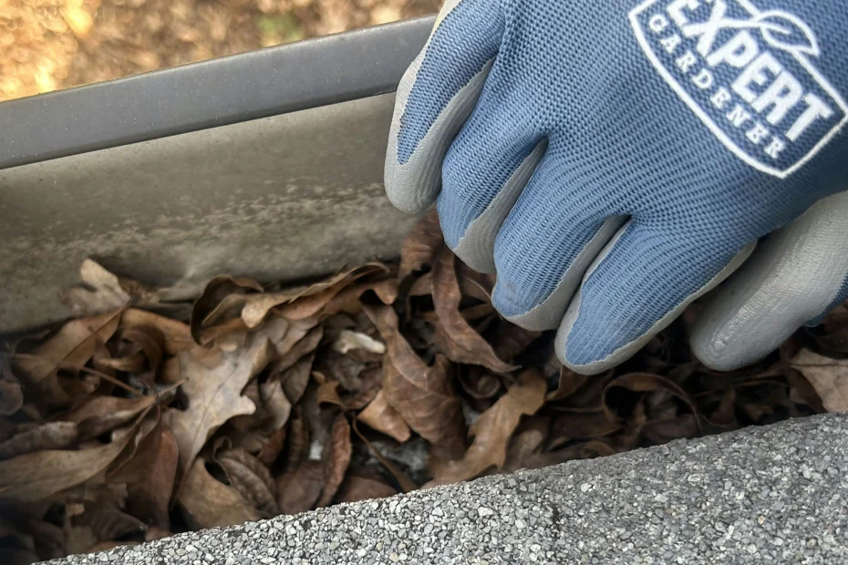 Gutter Cleaning Archer FL