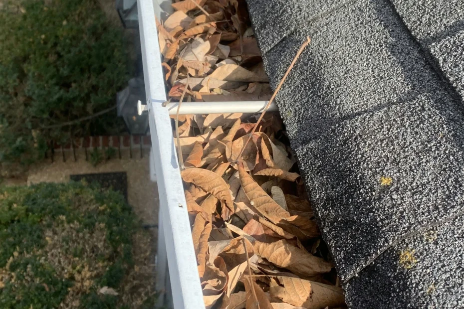 Gutter Cleaning Archer FL